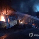 본욱농장 연합뉴스
