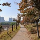 나불지공영주차장 이미지