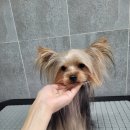 담비살롱 - 광진구 | 담비살롱
