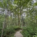07/18/26 Dash Point State Park 이미지
