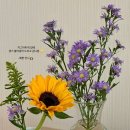스노우폭스플라워잠실역점