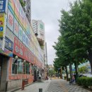 용인대태권나라 이미지