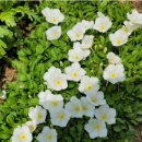 청덕우체국 이미지