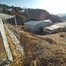 고비올 농장 이미지