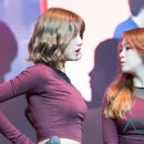 미스터비어 이미지