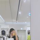 드림비몰