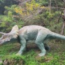 봉림농장 Daum카페