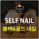 보니또슈