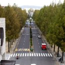 전남대학교 면역치료혁신센터 이미지