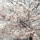 영진화성(주)