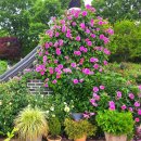 전주원동초등학교 이미지