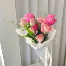 더피우리 이미지