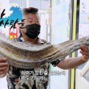 바닷가사람들 이미지
