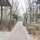 중앙하이츠 아파트(앞) 이미지