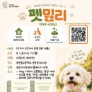 펫밀리# 매일일보