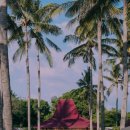 강아지 호텔 이미지