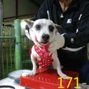 노적산로 이미지