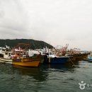 보령레포츠