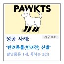 법률사무소조이 | 생활용품 특허, '반려동물(반려견) 신발'이 특허 등록된 사례