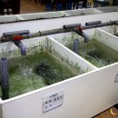 오조해녀의 집 이미지