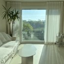 폴인럽제주 이미지