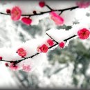 관음사가는길