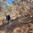 곡성-026 이미지