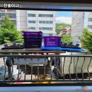 한솔이사