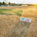 대산문화체육공원(야구장) 이미지