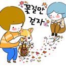 청라근린공원 이미지