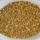 화분인간 이미지