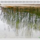 추동 호반길 이미지