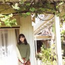 혜화통상 이미지