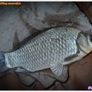 2박3일낚시터 이미지