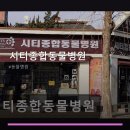 시티종합동물병원