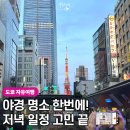 로마성인 관광나이트 | 도쿄 자유여행, 야경 명소 한 번에! 하토버스 나이트투어 내돈내산 후기