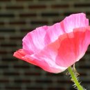 진천읍 보련마을~보탑사주차장 이미지