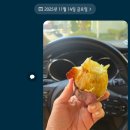 탄벌동-14 이미지