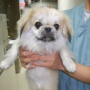 대장1교 이미지