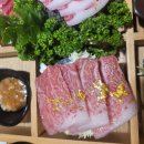 참치는못참치