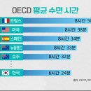 코슬립수면의원 이미지