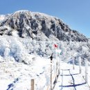 제주도 가볼만한곳 제주 먹거리 볼거리 겨울여행 이미지