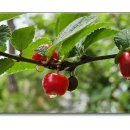 오며가며 이미지