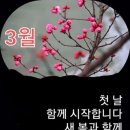 주차64 이미지