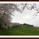 종무목장 이미지