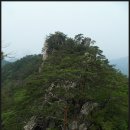 충북 제천 금수산(1,016m)특별산행(2014년 6월 28일) 이미지