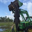 복수농장 이미지