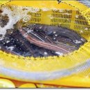 창녕상회 이미지