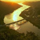 황금물결 이미지