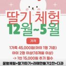 플랜팁 | 부산 경남 딸기체험 추천｜34개월 아이랑 다녀온 플랜비 농장 후기 (+예약 꿀팁, 주차 정보)